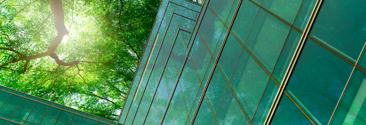 Eco-friendly building in the modern city. Green tree branches with leaves and sustainable glass building for reducing heat and carbon dioxide. Office building with green environment. Go green concept.